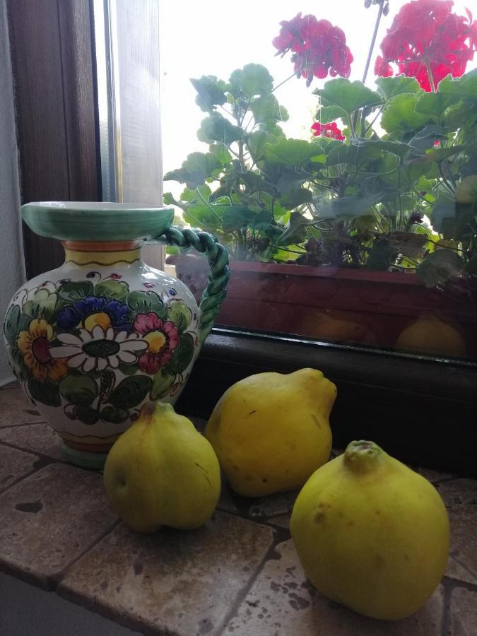 Casa Verde ヴォロネツ エクステリア 写真